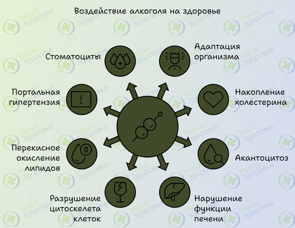 Инфографика воздействия алкоголя